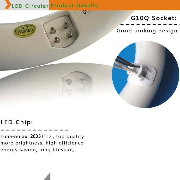 T9 LED Circline Light Bulb 8 Inch 12Inch 85-265V FC8T9 Replacement for 22W Circle Fluorescent Lamp Fixture G10Q LED Circular