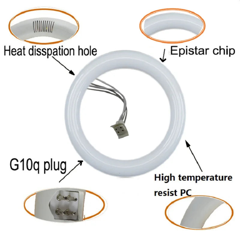 T9 LED Circline Light Bulb 8 Inch 12Inch 85-265V FC8T9 Replacement for 22W Circle Fluorescent Lamp Fixture G10Q LED Circular