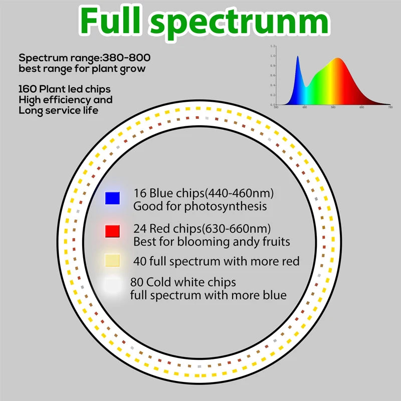 10" LED Ring Grow Lights for Indoor Plants Full Spectrum Large Plant Light for Indoor Plants USB Height Adjustable Growing Lamp