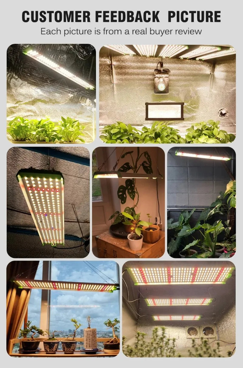 85W Full Spectrum Plant Growth Lamp LED Grow Light With Samsung LM281B For Indoor Greenhouse Hydroponics Plant Flower Seeding