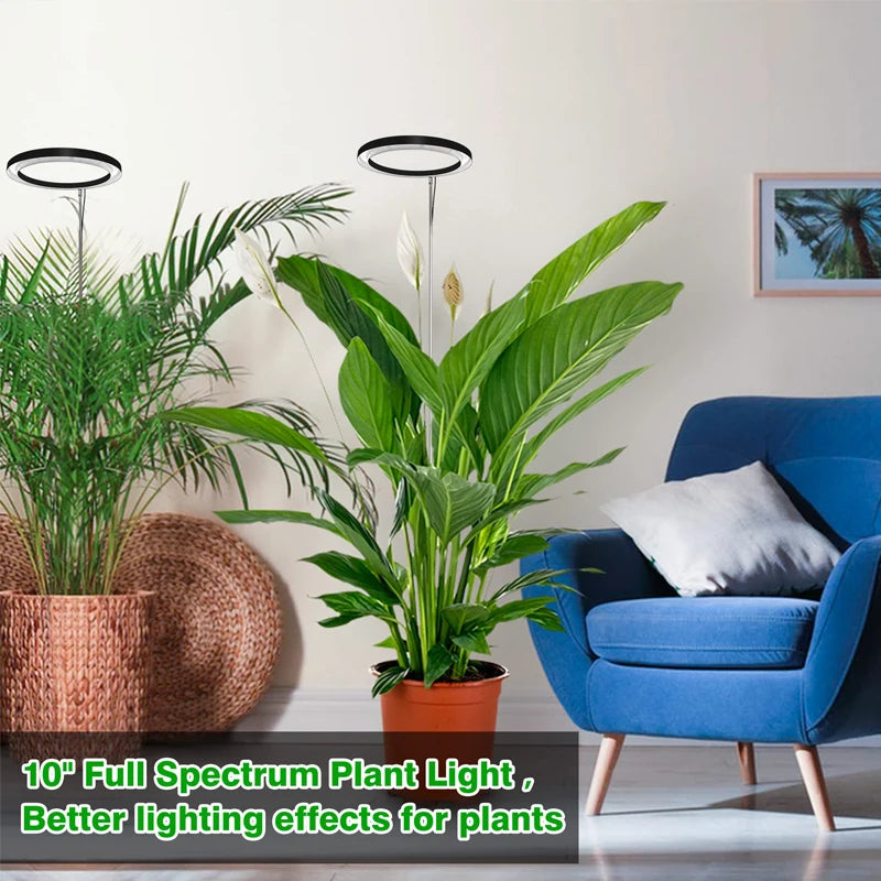 10" LED Ring Grow Lights for Indoor Plants Full Spectrum Large Plant Light for Indoor Plants USB Height Adjustable Growing Lamp