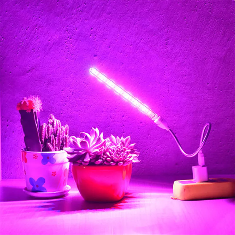 5V LED Grow Light USB Full Spectrum Red & Blue Phyto Grow Lamp 21 leds Indoor Phytolamp For Plants Flowers Seedling Greenhouse