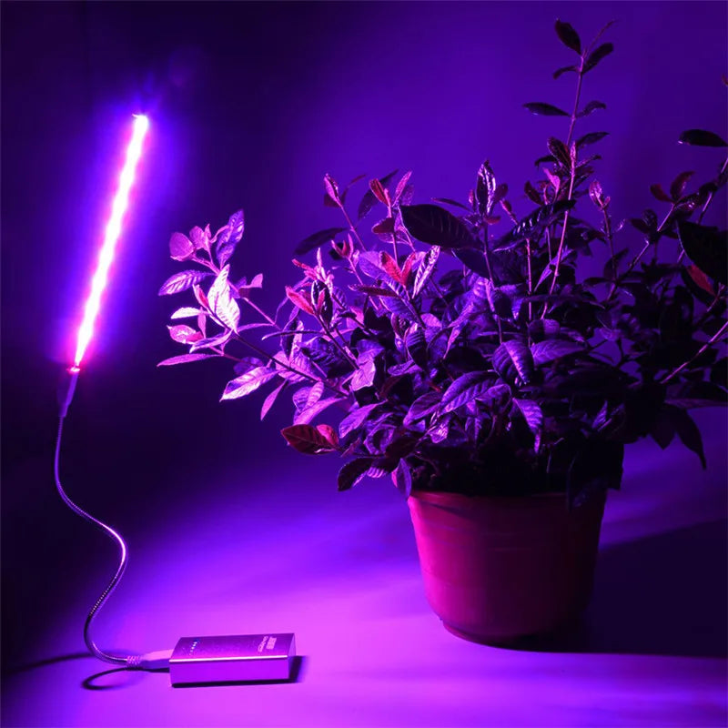 5V LED Grow Light USB Full Spectrum Red & Blue Phyto Grow Lamp 21 leds Indoor Phytolamp For Plants Flowers Seedling Greenhouse