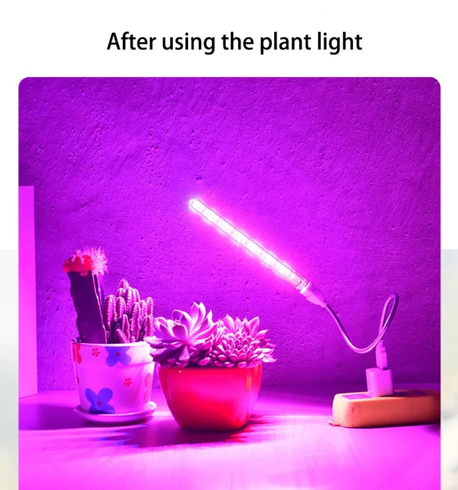 LED Growing Light Indoor Supplement Light Plant Grow Lamps Greenhouse Phyto Lamp Grow Red & Blue Hydroponic Growing Light Strip