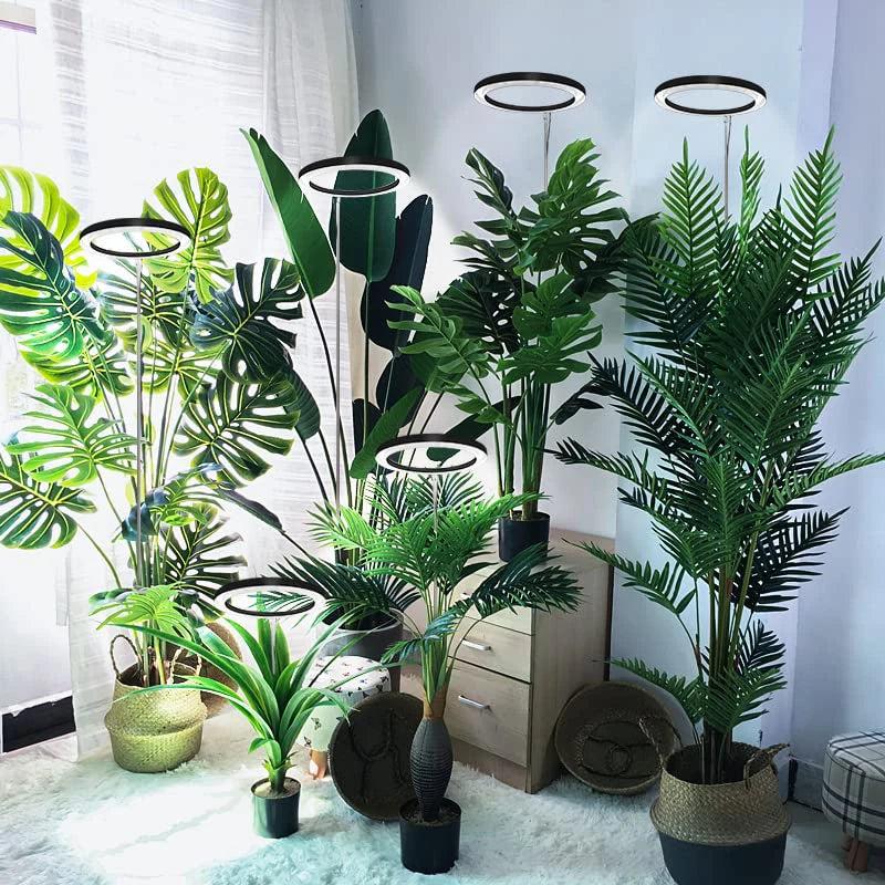 10" LED Ring Grow Lights for Indoor Plants Full Spectrum Large Plant Light for Indoor Plants USB Height Adjustable Growing Lamp