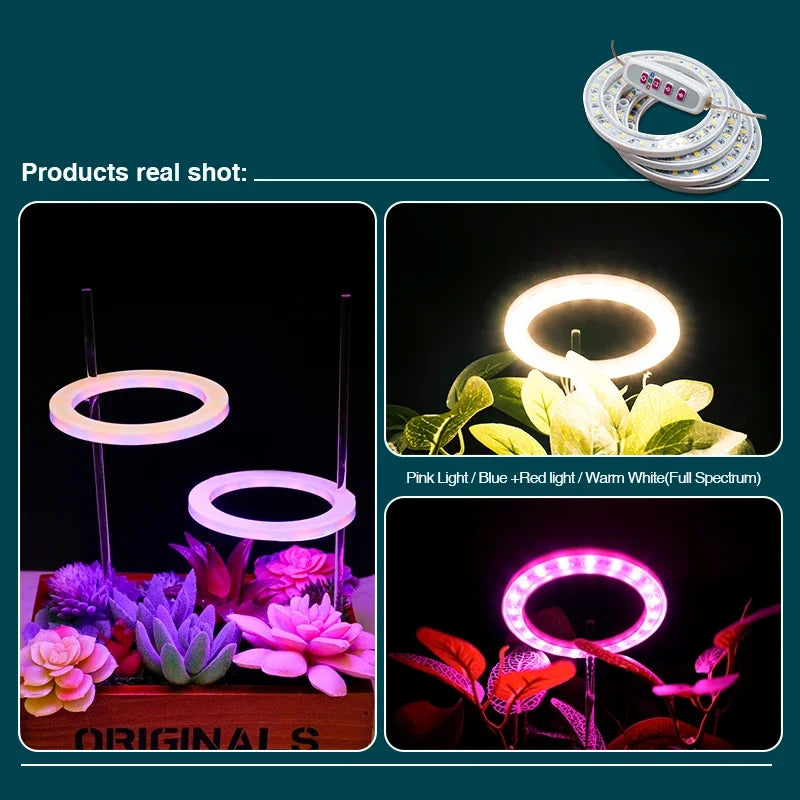 LED Angel Ring Grow Lights Full Spectrum Lamp for Plants Flowers Seedling Greenhouse DC5V USB Indoor Phytolamp Growth Light