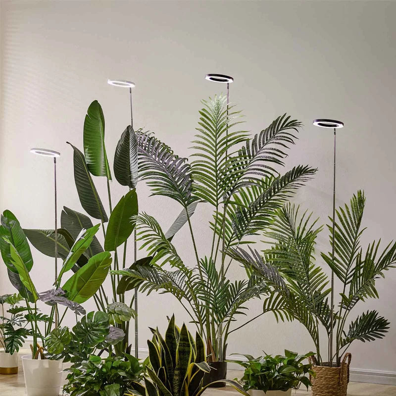 10" LED Ring Grow Lights for Indoor Plants Full Spectrum Large Plant Light for Indoor Plants USB Height Adjustable Growing Lamp