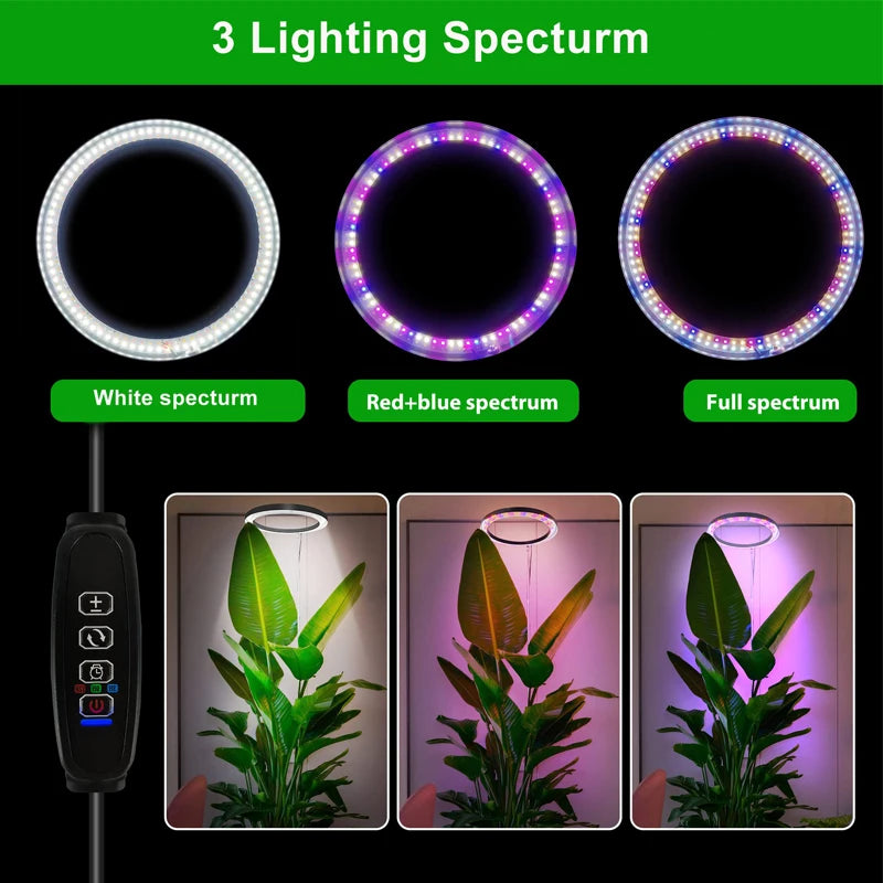 10" LED Ring Grow Lights for Indoor Plants Full Spectrum Large Plant Light for Indoor Plants USB Height Adjustable Growing Lamp