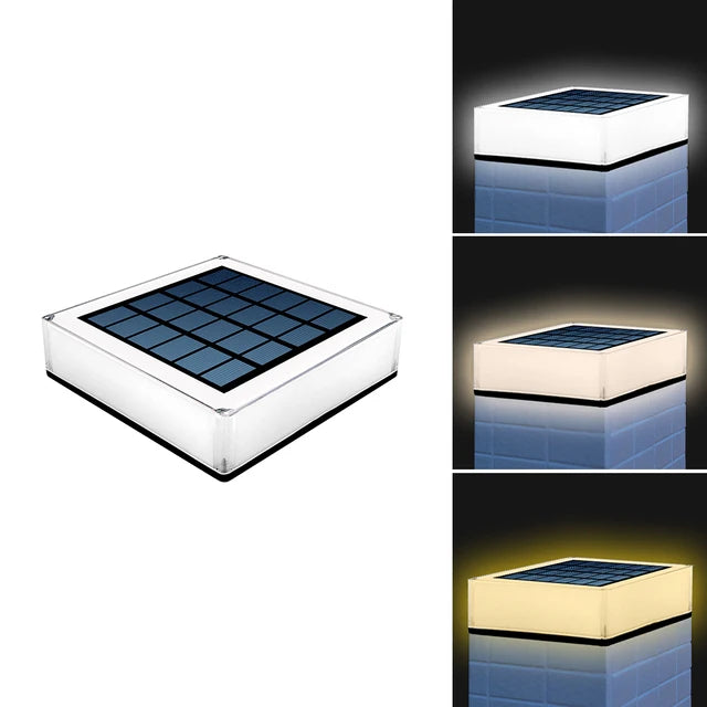 50088971567426|50088971600194