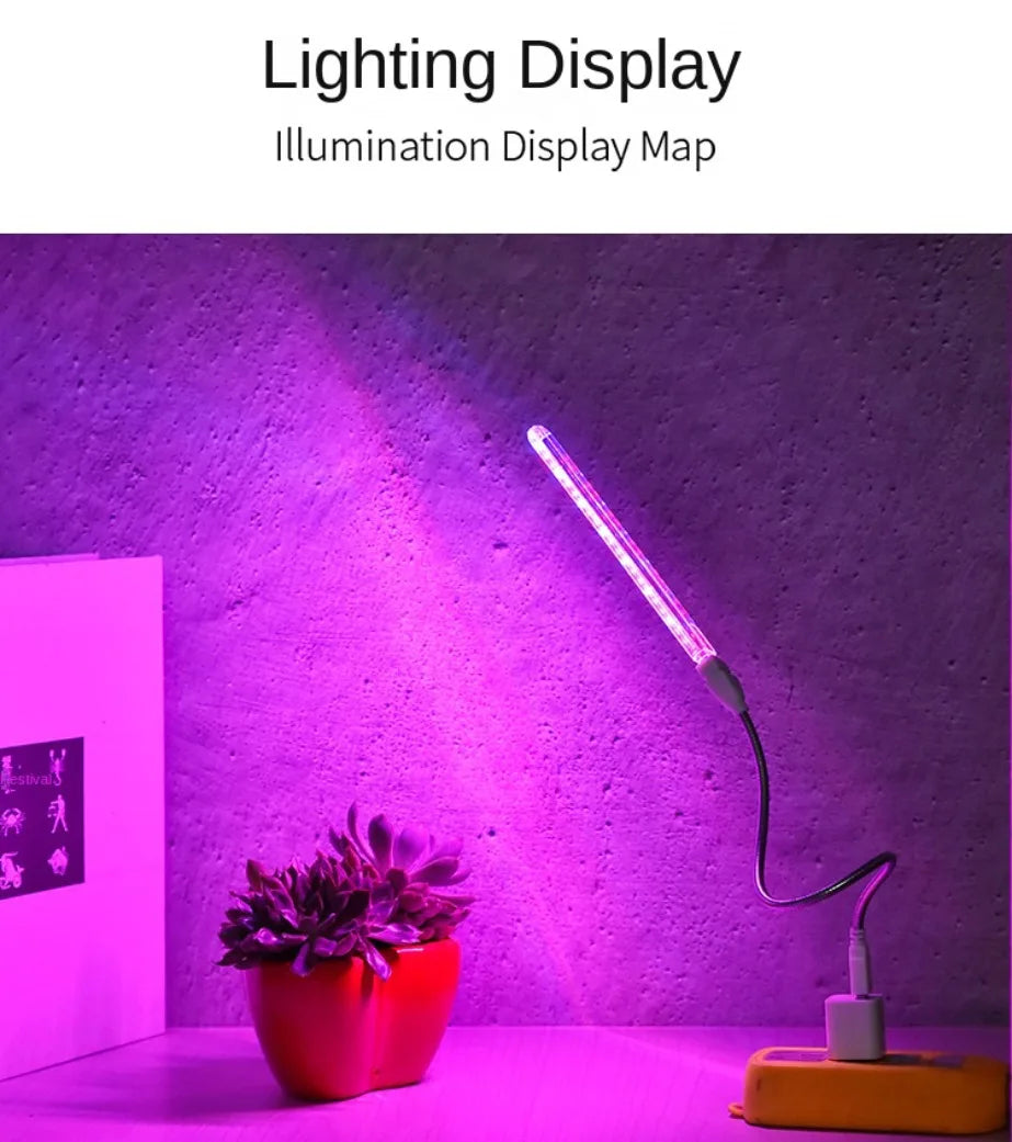 LED Growing Light Indoor Supplement Light Plant Grow Lamps Greenhouse Phyto Lamp Grow Red & Blue Hydroponic Growing Light Strip