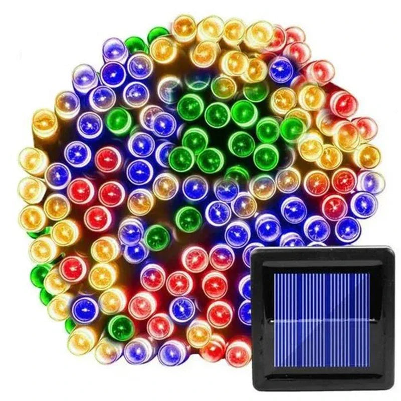 50088885420354|50088885453122|50088885485890|50088885518658
