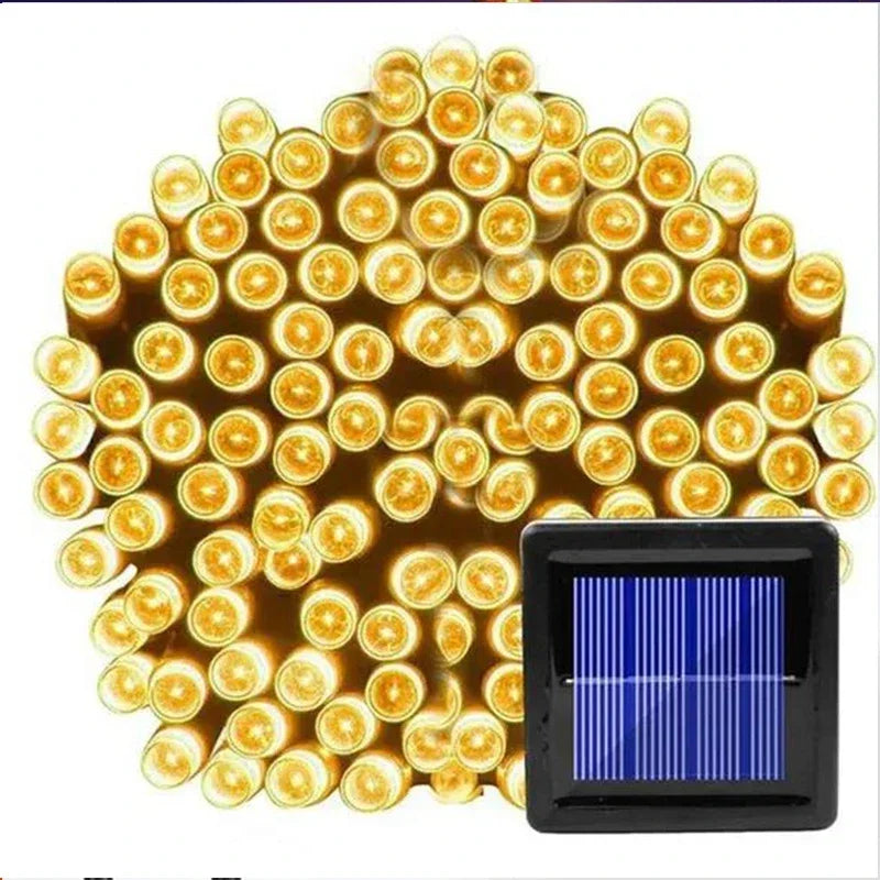50088885551426|50088885584194|50088885616962|50088885649730
