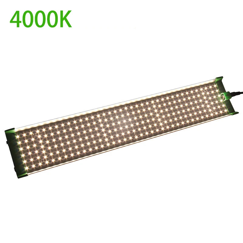 50088921268546|50088921366850