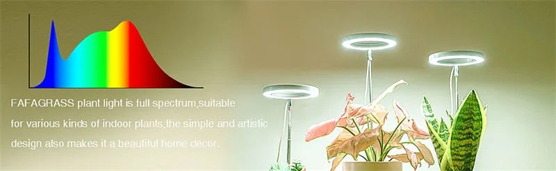 10" LED Ring Grow Lights for Indoor Plants Full Spectrum Large Plant Light for Indoor Plants USB Height Adjustable Growing Lamp