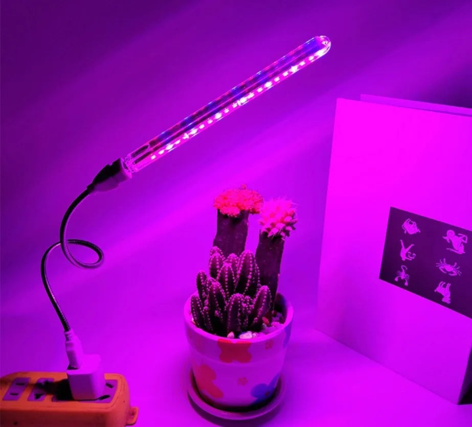 LED Growing Light Indoor Supplement Light Plant Grow Lamps Greenhouse Phyto Lamp Grow Red & Blue Hydroponic Growing Light Strip