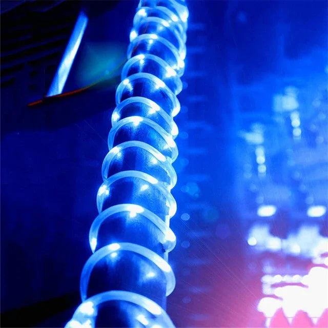50088981954882|50088981987650|50088982020418|50088982053186