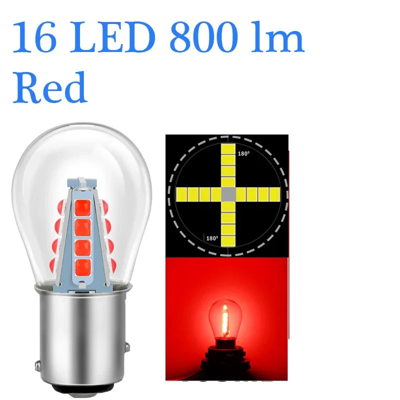 50088891875650