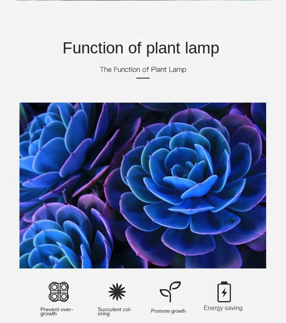 LED Growing Light Indoor Supplement Light Plant Grow Lamps Greenhouse Phyto Lamp Grow Red & Blue Hydroponic Growing Light Strip