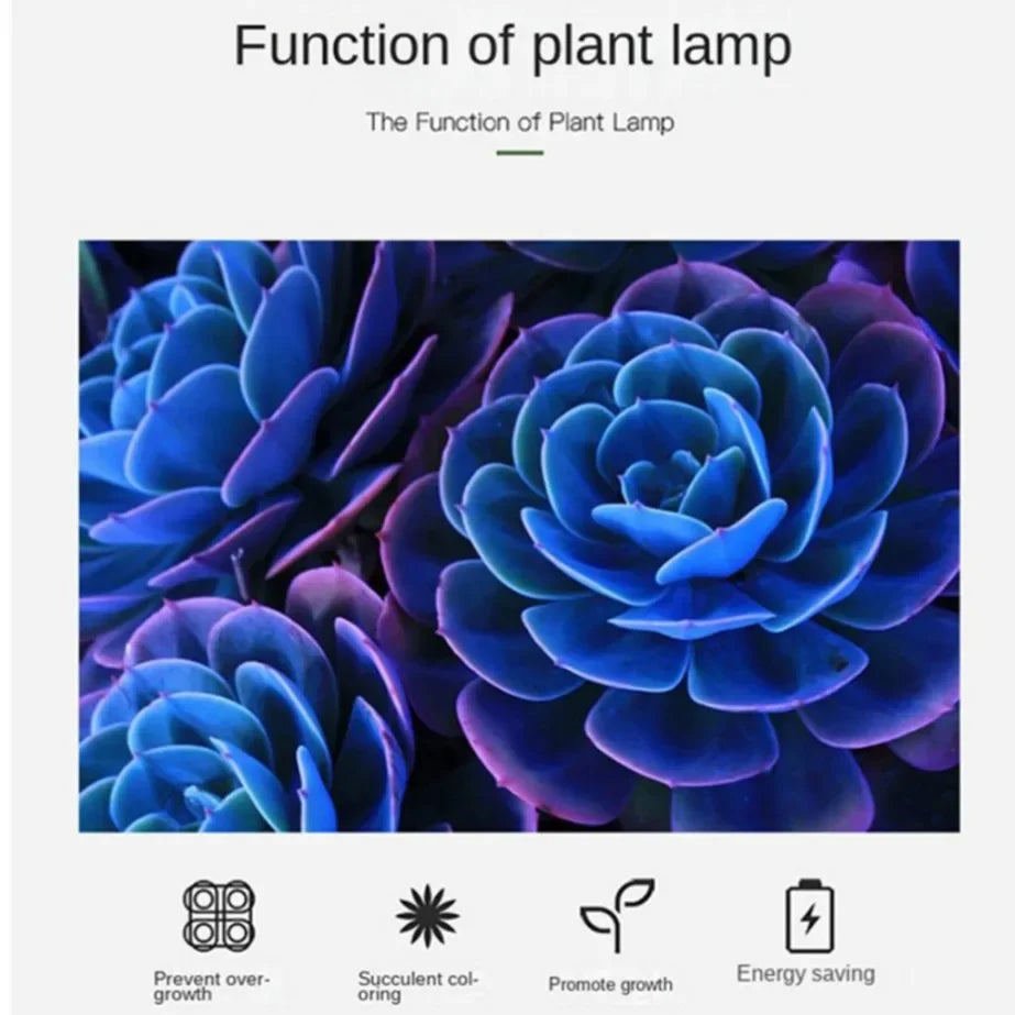 LED Growing Light Indoor Supplement Light Plant Grow Lamps Greenhouse Phyto Lamp Grow Red & Blue Hydroponic Growing Light Strip